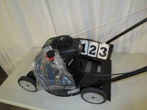 lot 123 image: Poulan 20 Lawn Mower