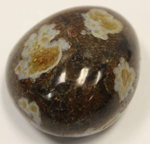 lot 8 image: Nice Looking Shiny Agate