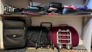 Misc Handbags And More