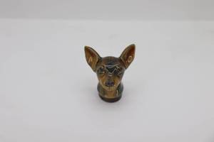 Dog Head
