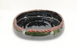 Dish 8x6x2