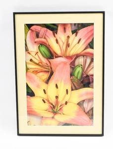 lot 377 image: R. R. Meyers Framed Floral Print