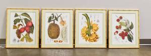 lot 380 image: Group of 4 Framed Botanical Prints