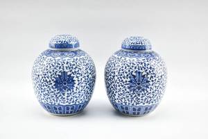 lot 248 image: Pair of Blue & White Lidded Vessels