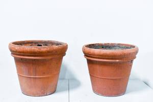 lot 195 image: 2 Large Deroma Italian Outdoor Terracotta Pots