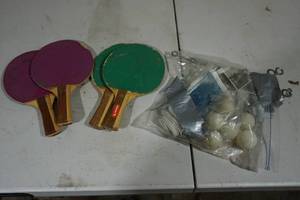 lot 31 image: Ping Pong Net, Balls, and Paddles