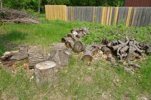 lot 160 image: Firewood - Cut and On Ground