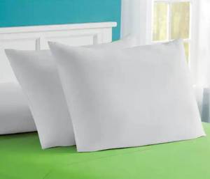 lot 13 image: Set of 2 Pillows