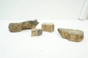 lot 155 image: Petrified Wood Pieces