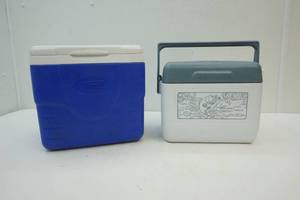 lot 364 image: coolers