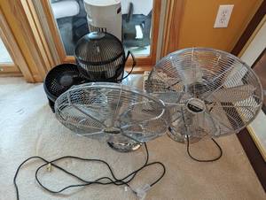lot 42 image: Fans