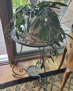 lot 317 image: Plantstand With Plant