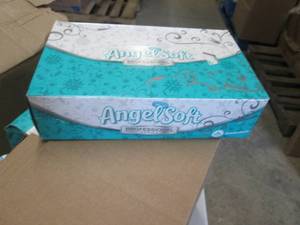 Damaged Case Angel Soft Professiona...