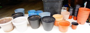 lot 35 image: Assorted Gardening Pots