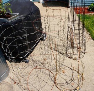 lot 99 image: (10) Assorted Tomato Cages