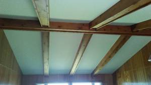 Beams, Paneling, molding, carpet, wall heaters (2) and Fireplace accessories.