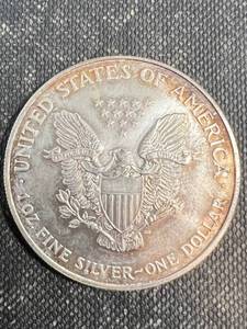 1999 COLOR ENHANCED AMERICAN SILVER EAGLE 1 TROY OZ .999 FINE SILVER