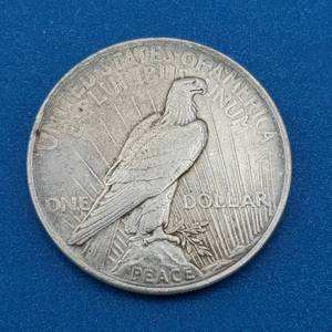 lot 14 image: 1923 Peace Silver Dollar