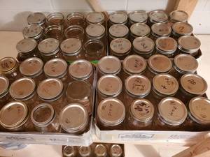 lot 200 image: Canning Jar Lot