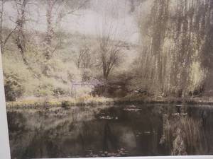 lot 137 image: S. Sakimato Tranquil Pond Photograph