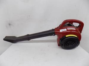 Gas Blower
