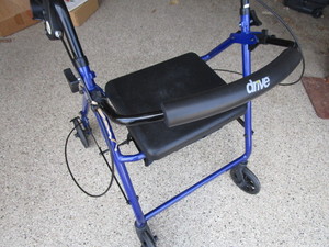 lot 117 image: Drive Walker