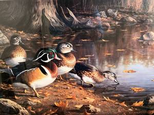 lot 44 image: Framed Quiet Pool - Wood Ducks Artwork, Signed by Artist