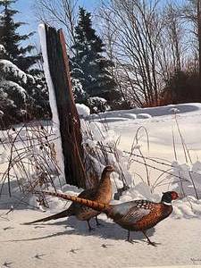 lot 42 image: Framed Pheasant Hunting Image, Signed by Artist