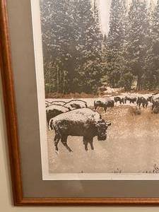lot 67 image: Vanishing Herd #2 Framed Etching by Ted Thomas