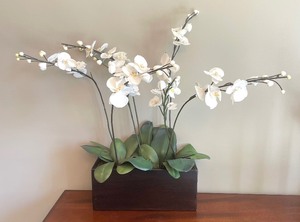 lot 65 image: Darling Home Decor