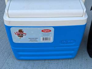 lot 83 image: Pair of Small Travel Coolers