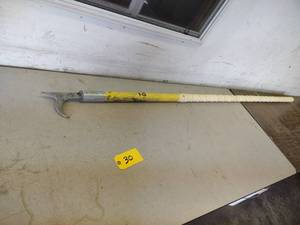 lot 30 image: Pike Pole, 8...