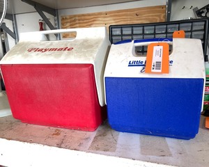 lot 95A image: Coolers
