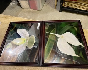 lot 421 image: Floral Artwork