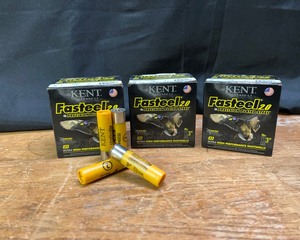lot 35A image: Fasteel 2.0 Ultra High Performance 20 Ga - Kent Cartridge