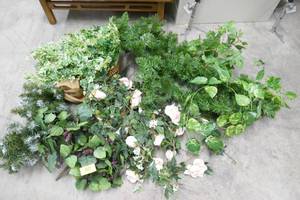 lot 40 image: Group of greenery for dcor