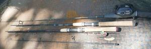 lot 117 image: 3 fishing rods and 1 Daiwa reel - the 2 rods that are without reels have broken off tips