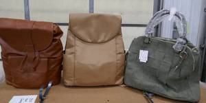 lot 161 image: 2 travel backpacks and olive green purse