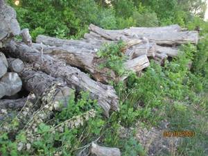 lot 47 image: Choice of 20 logs uncut firewood 8-...