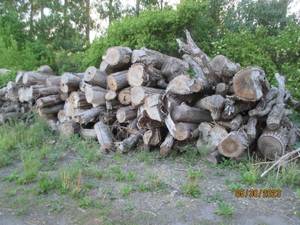 lot 54 image: Choice of 20 logs uncut firewood 8-...
