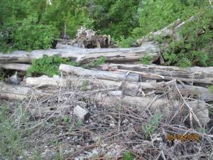 lot 56 image: Choice of 20 logs uncut firewood 8-...