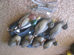 (DL) 7 Duck Decoys with Weights an...
