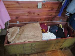 lot 272 image: Vintage Clothes and Cedar Chest...