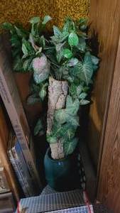 lot 414 image: 4 faux greenerytree in vase with ...
