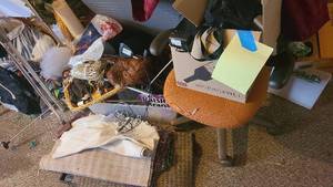 lot 451 image: Huge lot of assorted items, take what you want.