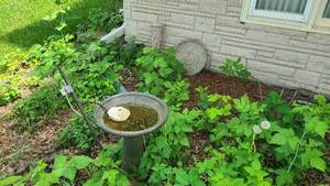 lot 452 image: Two bird baths located at front of ...
