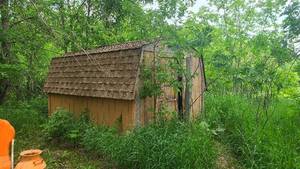 lot 460 image: Large emptied out building storage shed