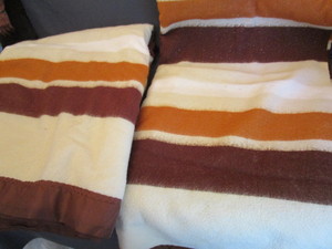 lot 93 image: Twin Size Blankets
