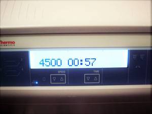 lot 26 image: MSRP $3500 Thermo Scientific Sorvall ST8 Small Benchtop Centrifuge -Exceptional capacity in a compact design with a smart, simple interface and the flexibility to support numerous applications&nbspExcellent Working Condition