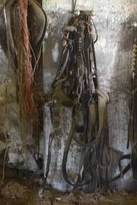 lot 9 image: Full Harness Set